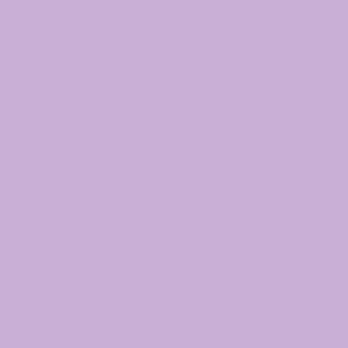 Professionel Lermaling nr. 535 - lilac whisper 05