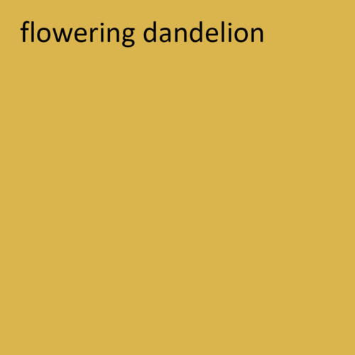 Professionel Lermaling nr. 535 - flowering dandelion
