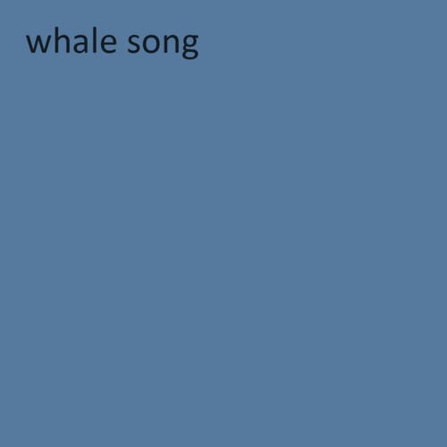 Premium Væg- og Loftmaling nr. 555 - whale song