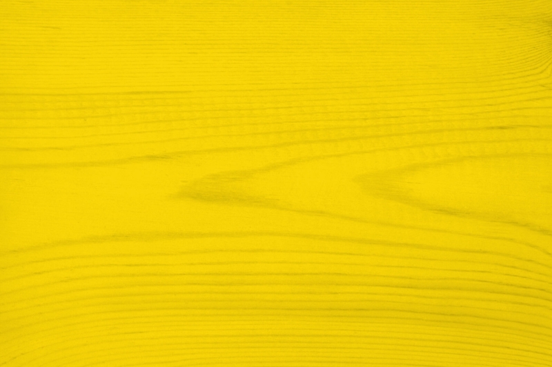 Trælasur nr. 560 - bumblebee