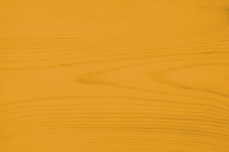 Trælasur nr. 560 - carrot