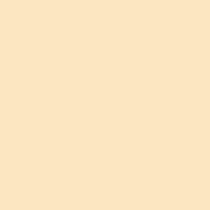 Professionel Lermaling nr. 535 - bitter orange 25