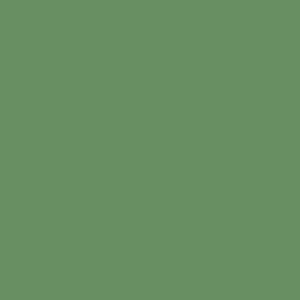 Professionel Lermaling nr. 535 - forest green