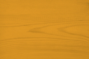 Trælasur nr. 560 - pumpkin