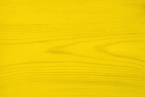 Trælasur nr. 560 - bumblebee